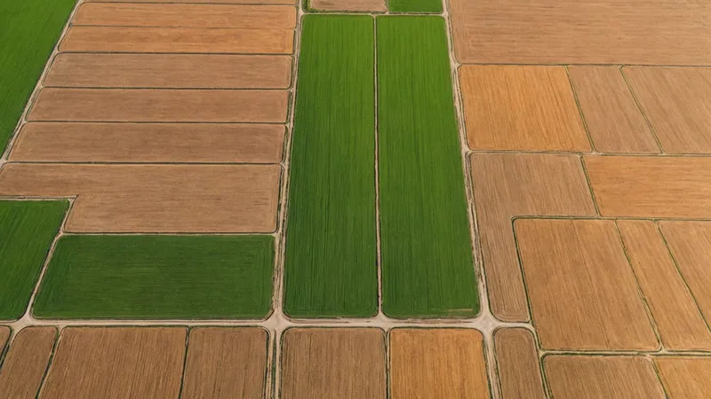 Aerial survey perspective showing geometric agricultural field patterns from drone altitude